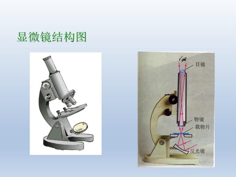 显微镜和望远镜--课件ppt_第5页