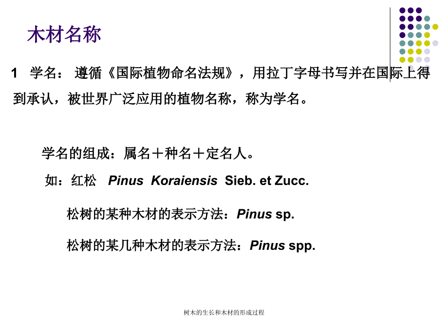 树木的生长和木材的形成过程课件_第3页