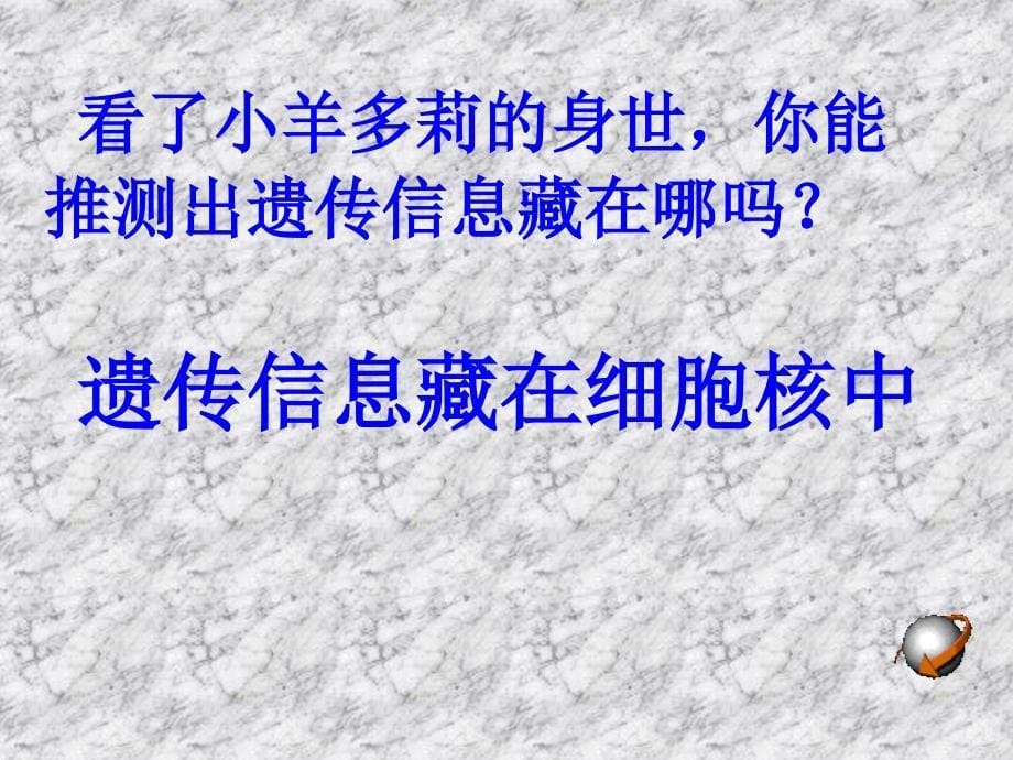 七年级生物细胞核是遗传信息库4_第5页