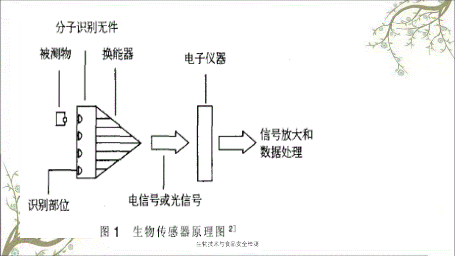 生物技术与食品安全检测_第4页