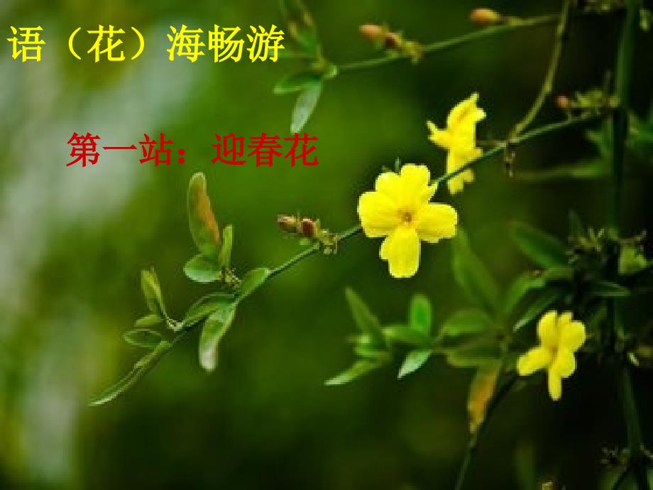 S版四年级下册语文百花园五ppt课件_第4页