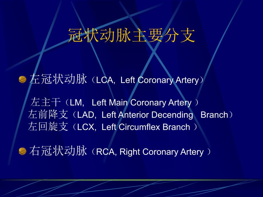 博士冠心病介入治疗课件_第4页