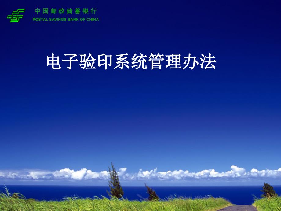 电子验印系统管理办法_第1页