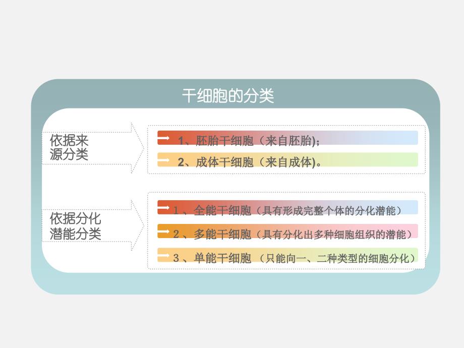 《干细胞科普》PPT课件_第3页