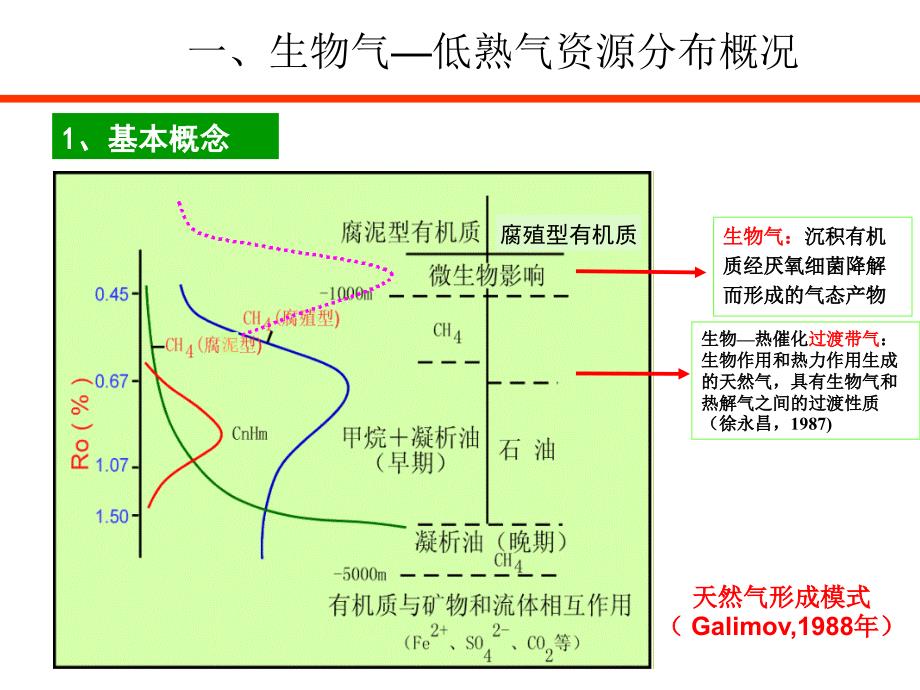 生物气低熟气资源与分布_第3页