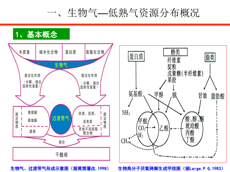 生物气低熟气资源与分布_第4页