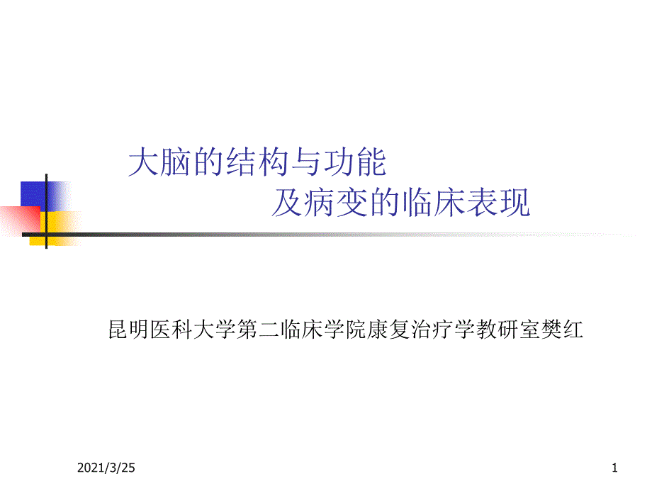 大脑的结构与功能PPT课件_第1页