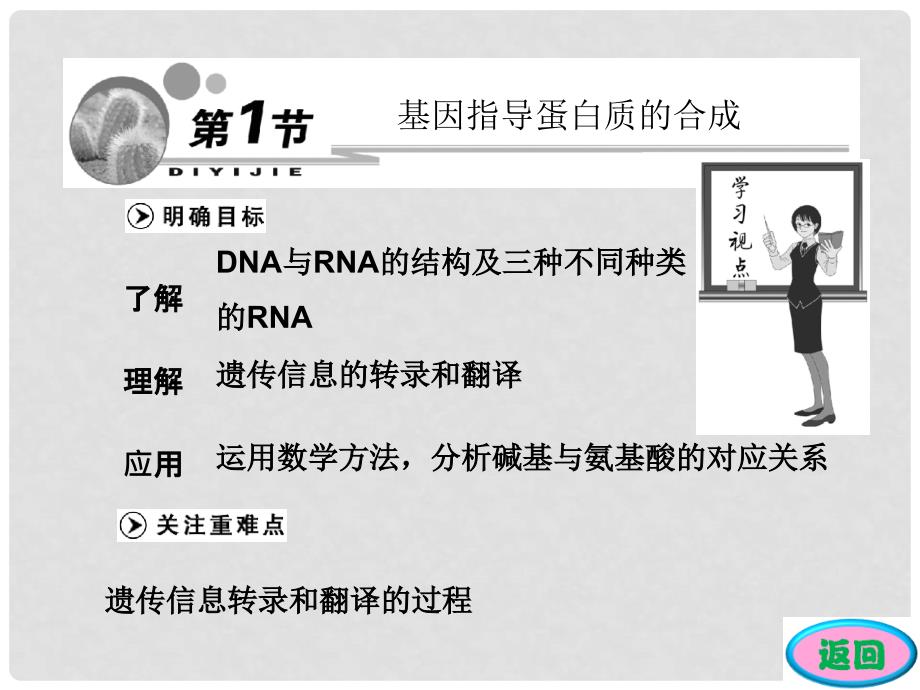 高中生物 第4章 第1节 基因指导蛋白质的合成课件 新人教版必修2_第3页