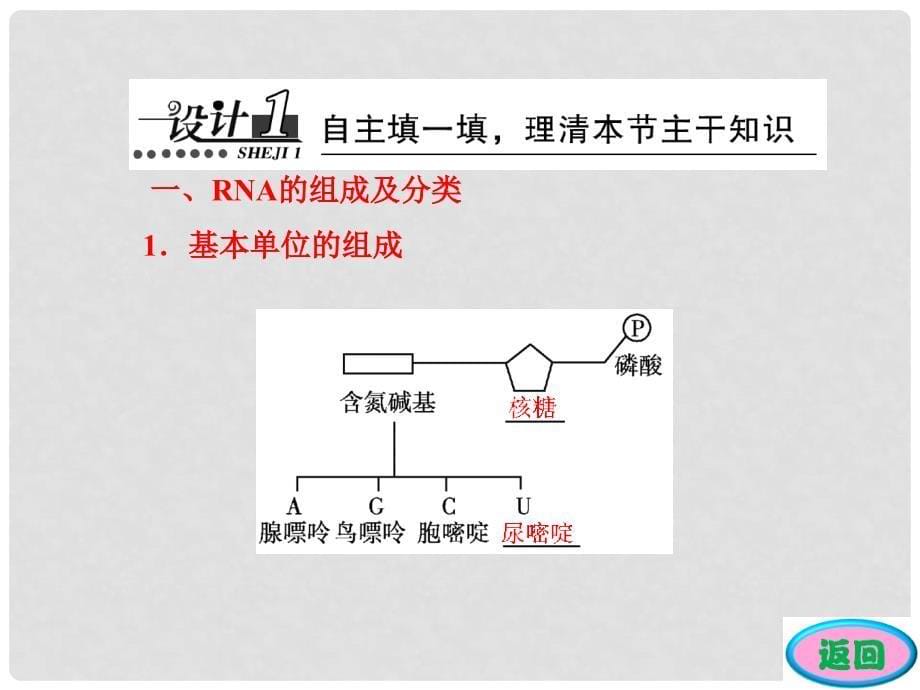 高中生物 第4章 第1节 基因指导蛋白质的合成课件 新人教版必修2_第5页