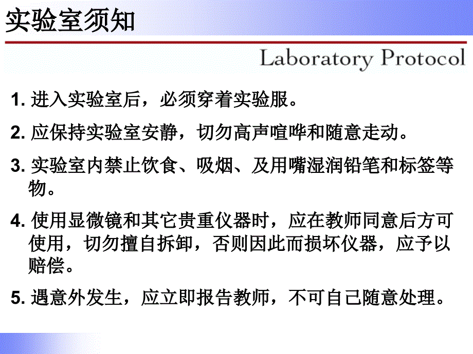 实验一显微镜油镜的使用课件_第2页