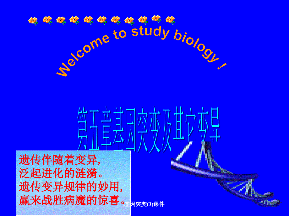 基因突变3课件_第2页