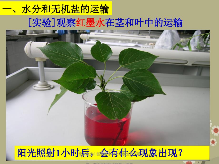 北京市房山区窦店中学七年级生物下册第一节无机物的运输新人教版课件_第2页