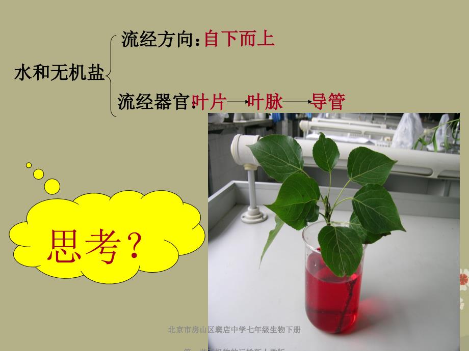 北京市房山区窦店中学七年级生物下册第一节无机物的运输新人教版课件_第3页