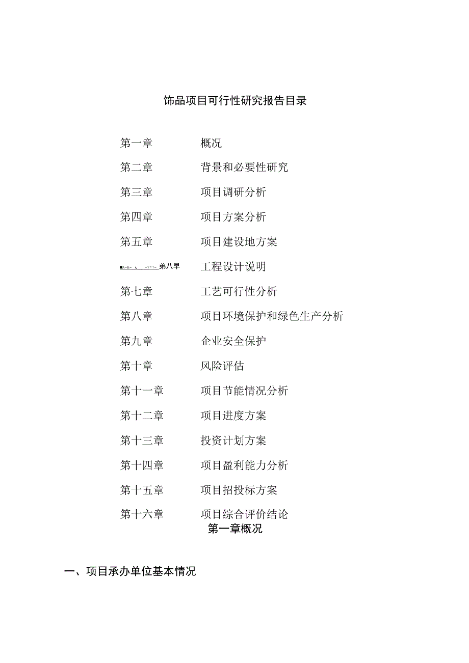 饰品项目可行性研究报告样例参考模板_第3页