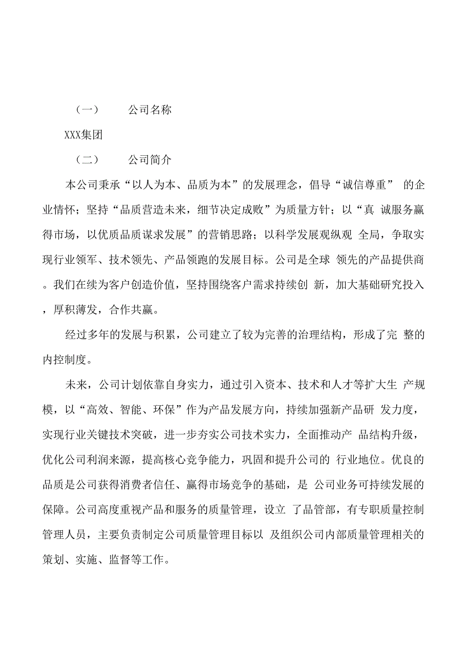 饰品项目可行性研究报告样例参考模板_第4页