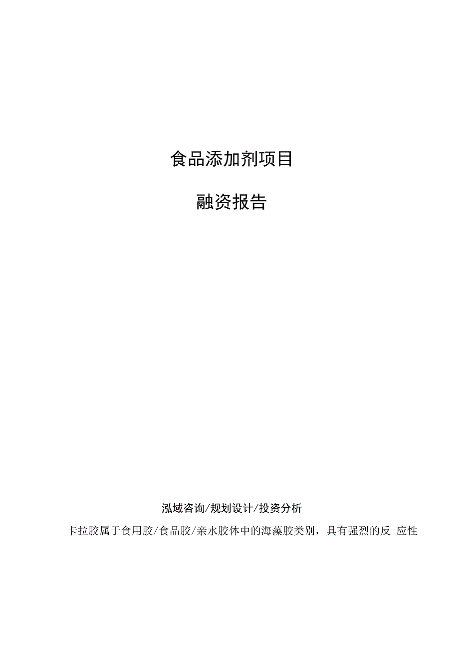 食品添加剂项目融资报告参考范文_第1页