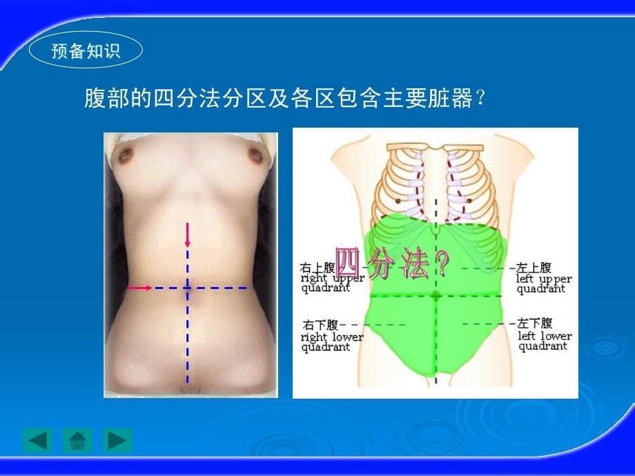 健康评估之腹部评估_第5页