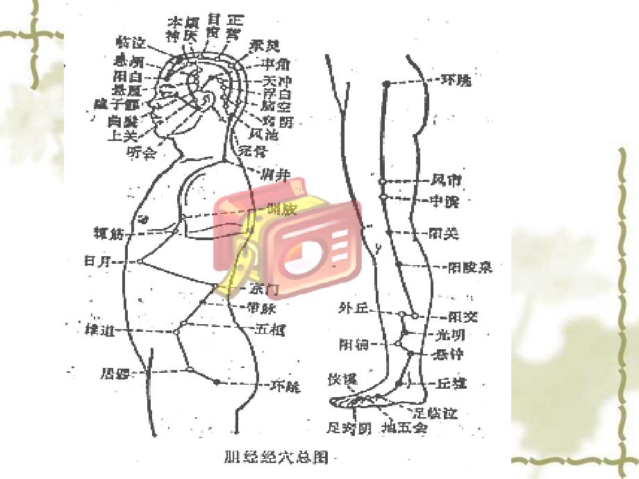 针灸穴位经络介绍足少阳胆经_第4页