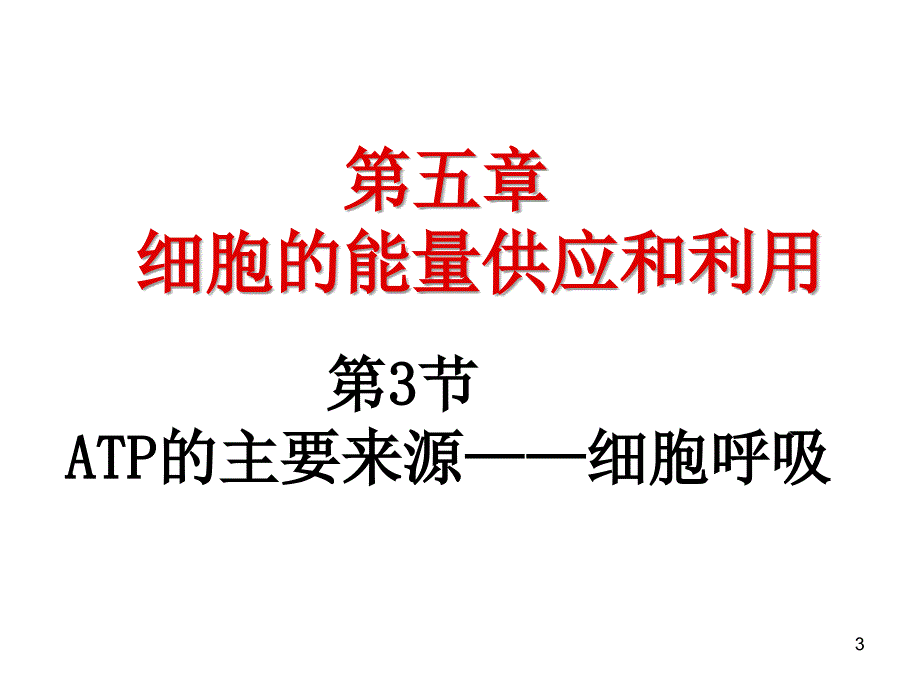 ATP的主要来源细胞呼吸公开课_第3页