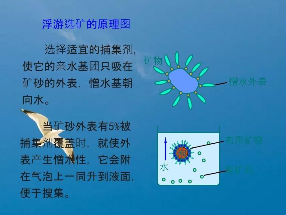 组表面物理化学ppt课件_第5页