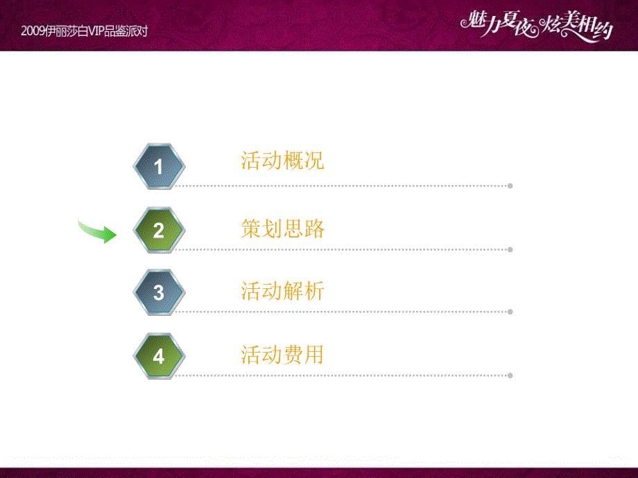 魅力夏夜炫美VIP派对活动策划方案_第5页