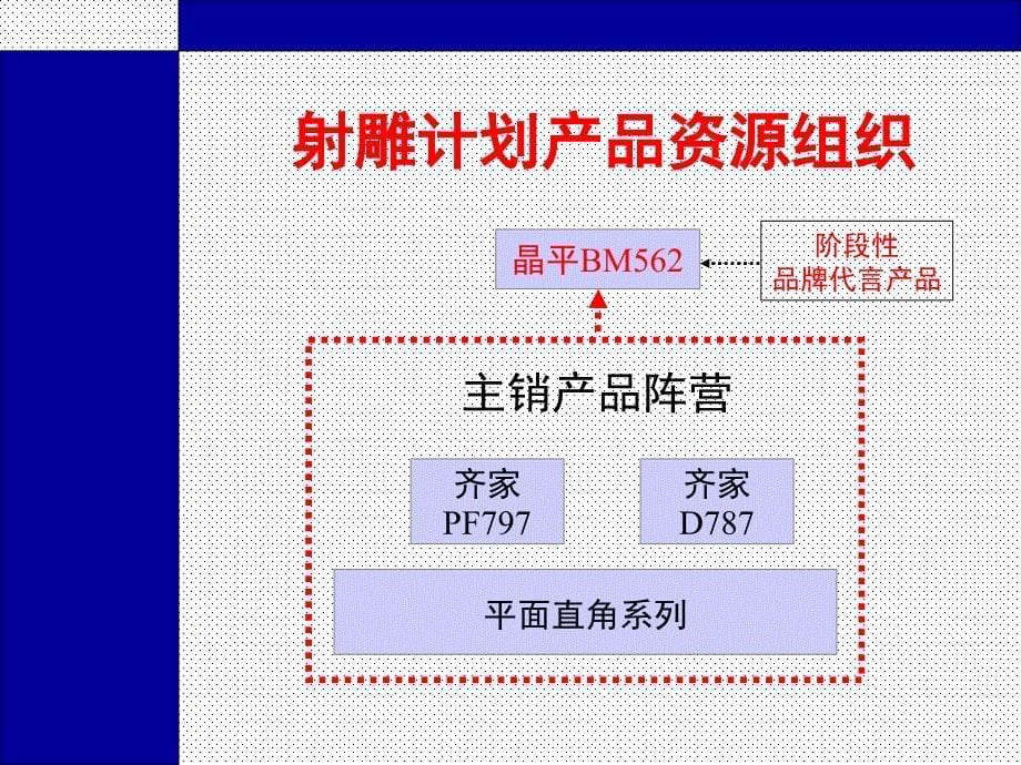 EMC品牌传播策略执行方案_第5页