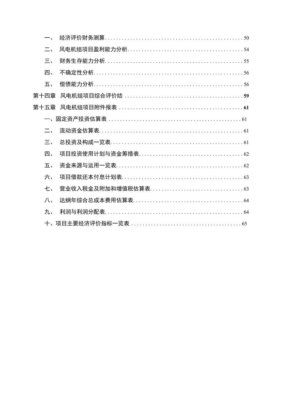 风电机组投资项目可行性研究报告_第5页