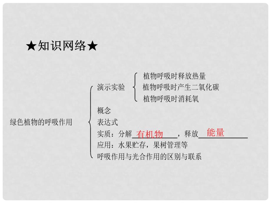 广东省河源市中英文实验学校中考生物 第三单元 第五章 绿色植物的呼吸作用复习课件_第2页