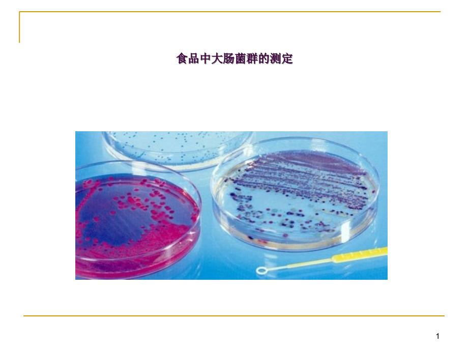 2.大肠菌群ppt课件_第1页