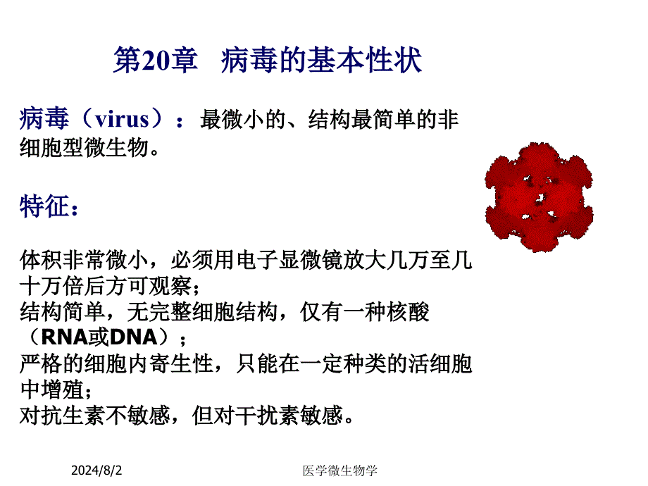 医学微生物学课件-第20章病毒的基本性状_第1页