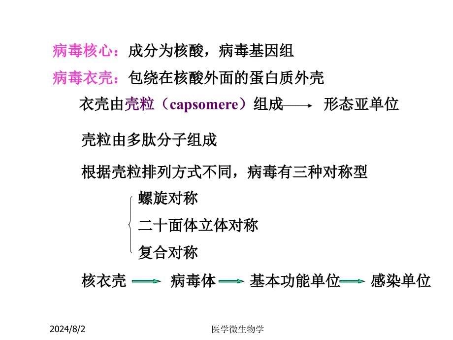 医学微生物学课件-第20章病毒的基本性状_第5页