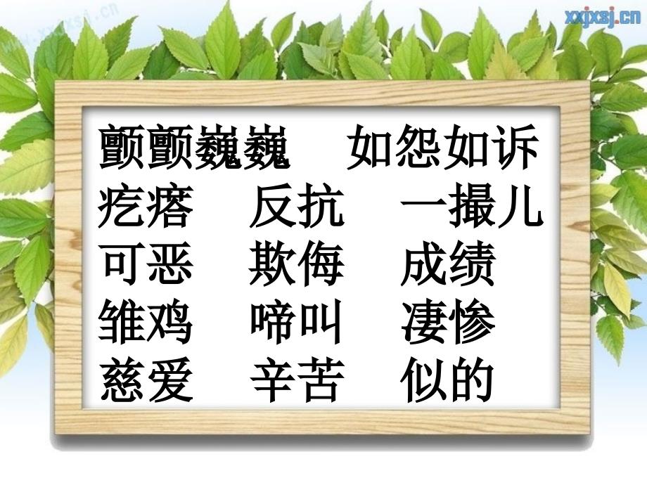 《母鸡》教学课件1_第4页