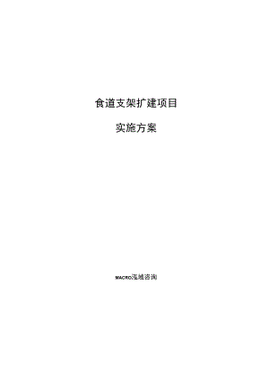 食道支架扩建项目实施方案范文参考