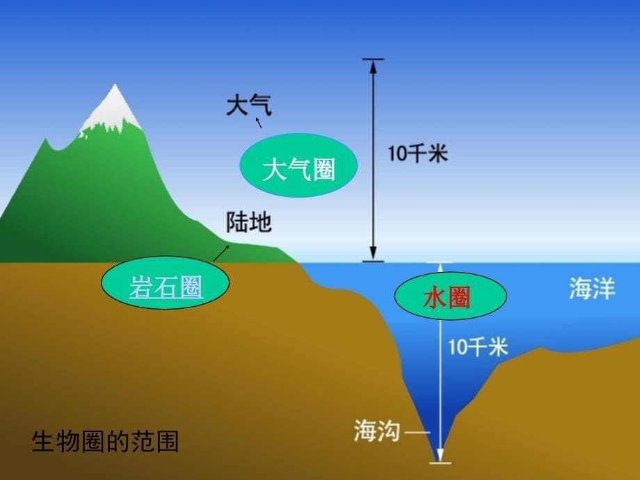 生物圈是最大的生态系统_第5页