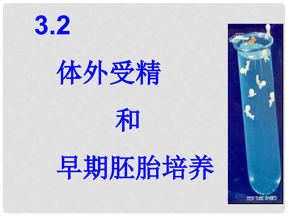 吉林省吉林市长岭县第四中学高二生物 3.2体外受精早期胚胎培养课件_第1页