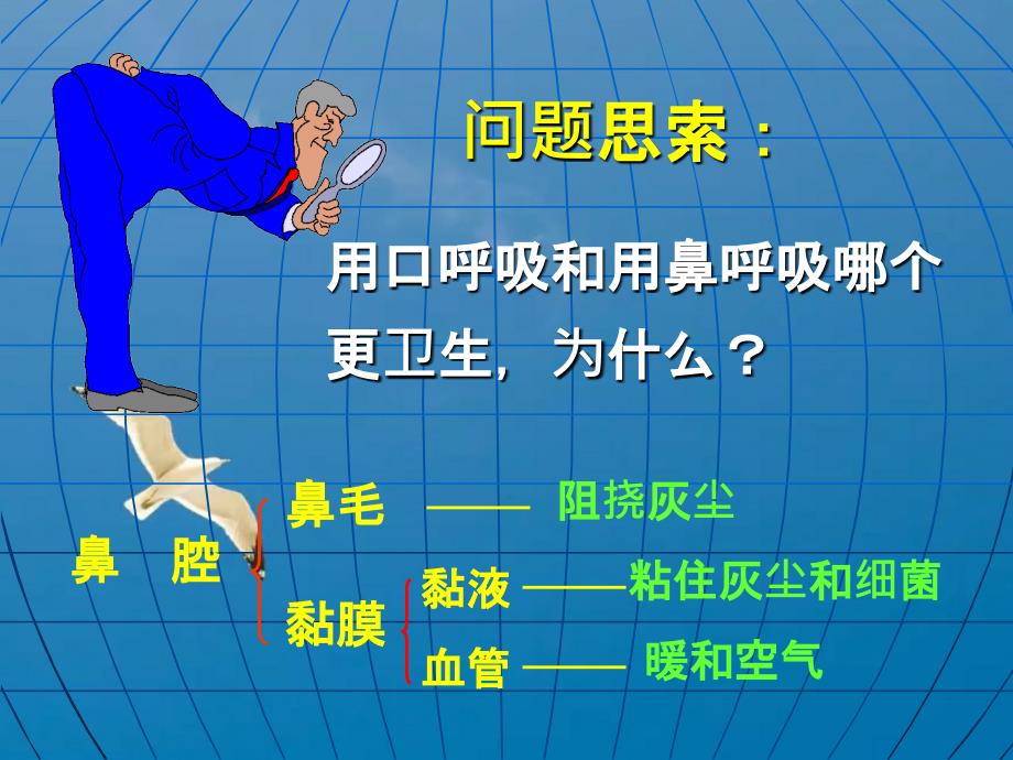 呼吸道对空气的处理ppt课件_第4页