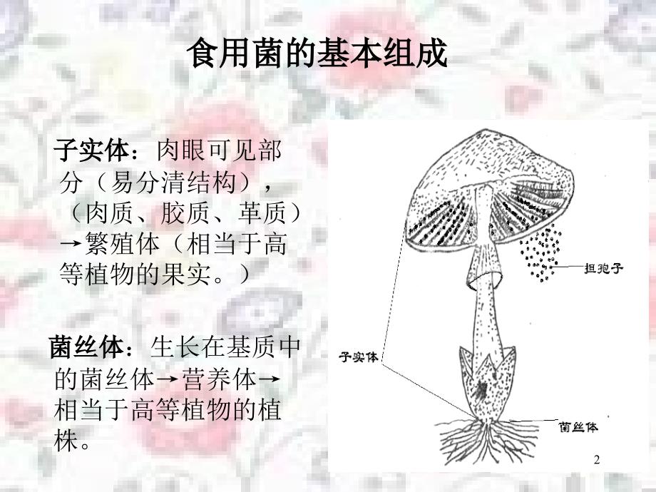 食用菌形态结构与分类PowerPoint演示文稿_第2页