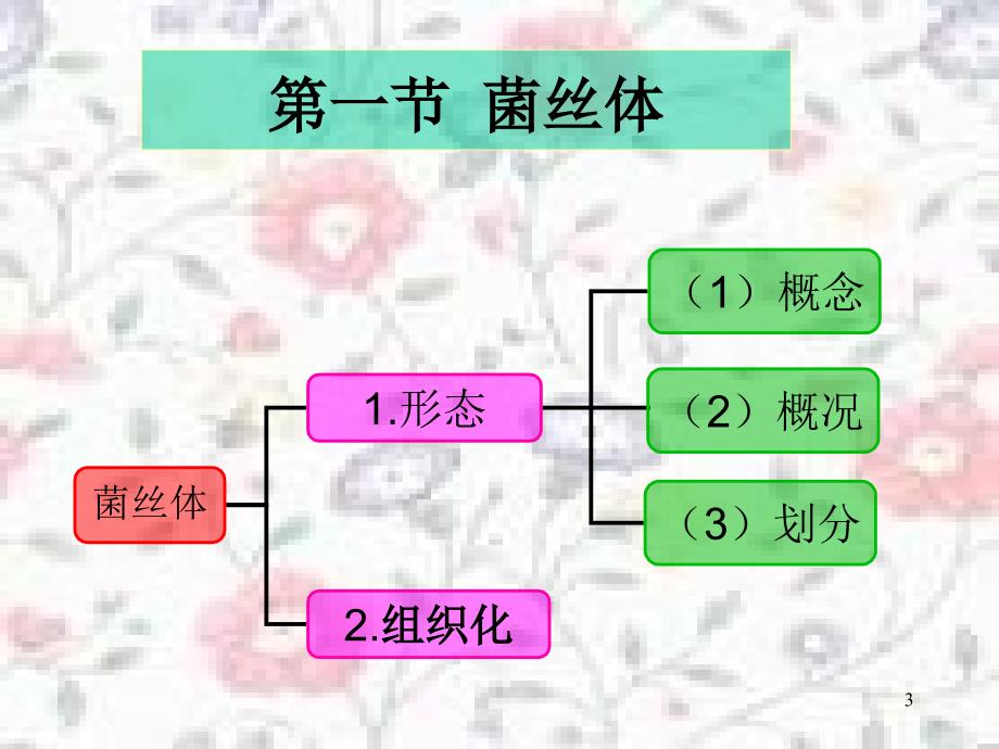 食用菌形态结构与分类PowerPoint演示文稿_第3页