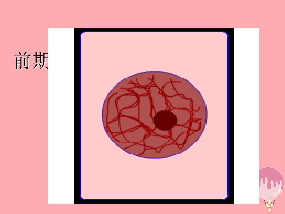 生物 第六章 细胞的生命历程 6.1 细胞的增殖（2） 新人教版必修1_第2页