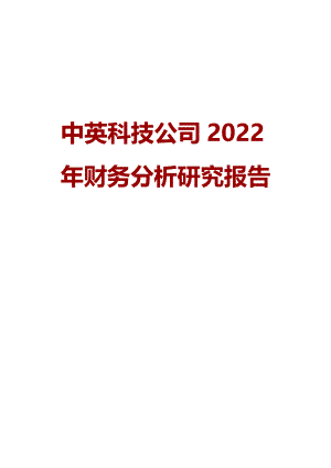 中英科技公司2022年财务分析研究报告