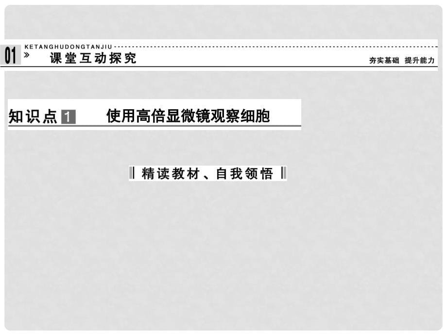 高中生物 12细胞的多样性和统一性同步课件 新人教版必修1_第5页