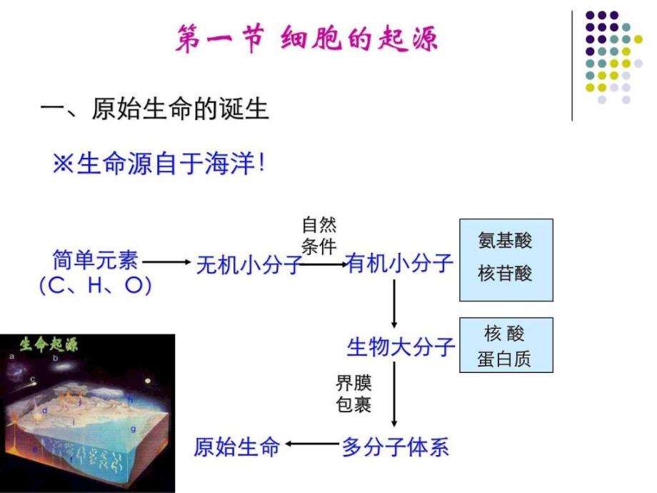 第二、三章 细胞的起源、进化和基本特征(细胞生物学.ppt45_第4页