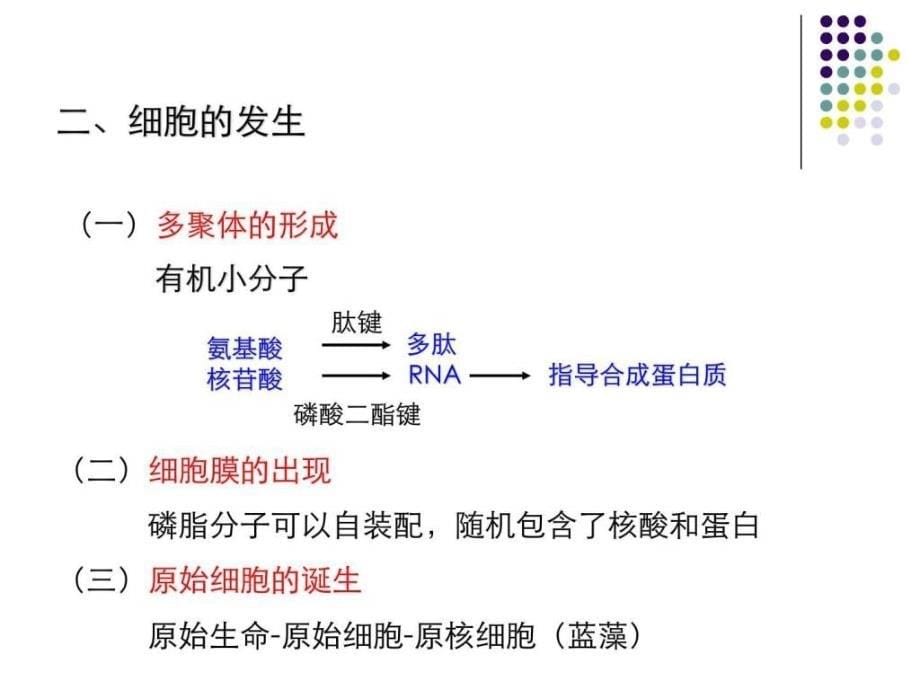 第二、三章 细胞的起源、进化和基本特征(细胞生物学.ppt45_第5页