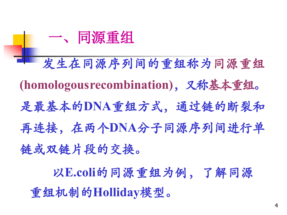 基因重组和基因工程课件_第4页