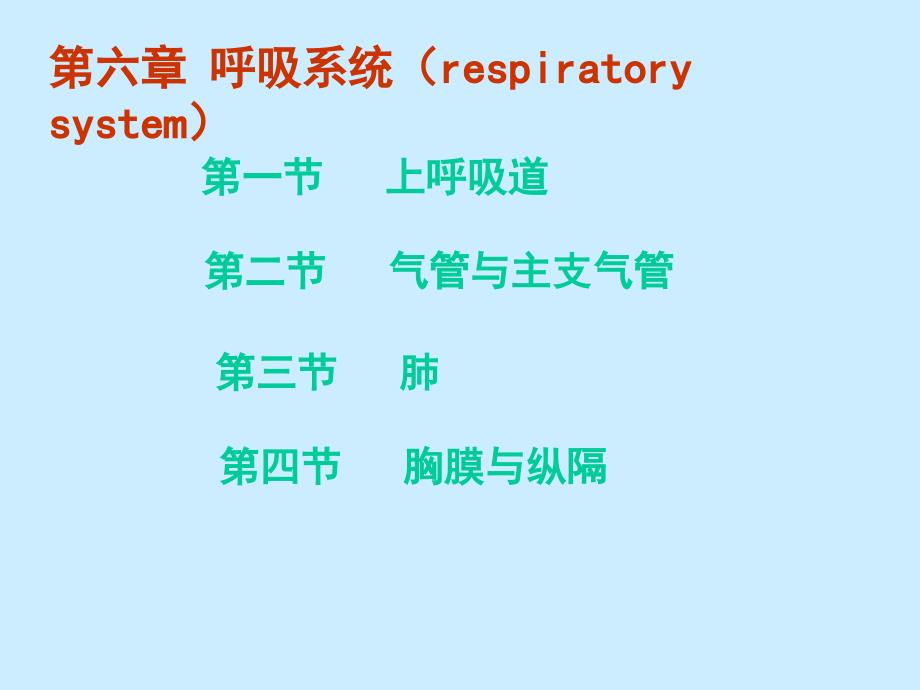 呼吸系统PPT课件_第2页