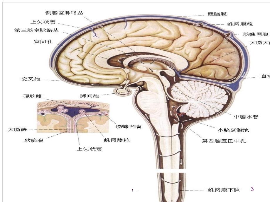 脑脊液耳漏的护理ppt课件_第3页