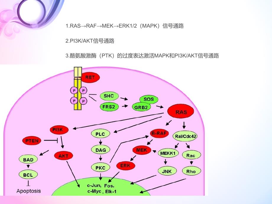 甲状腺癌靶向治疗_第4页