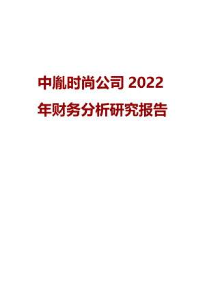 中胤时尚公司2022年财务分析研究报告