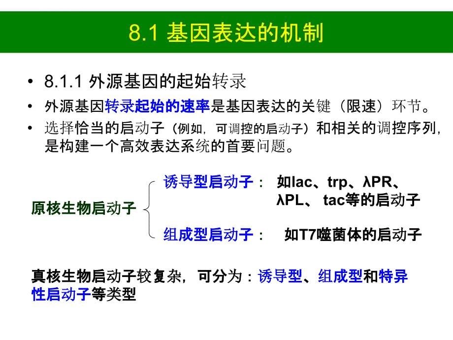 第8讲目的基因的表达与调控ppt课件_第5页