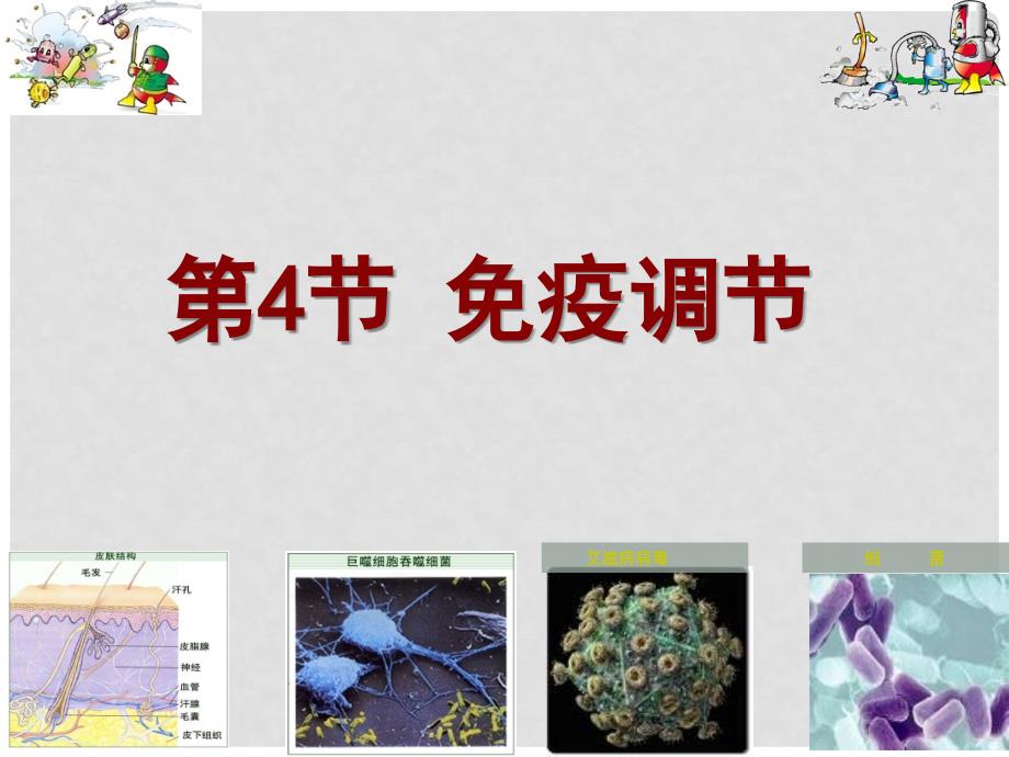 湖南省茶陵县高中生物 第二章 动物和人体生命活动的调节 2.4 免疫调节（理科）课件 新人教版必修3_第1页